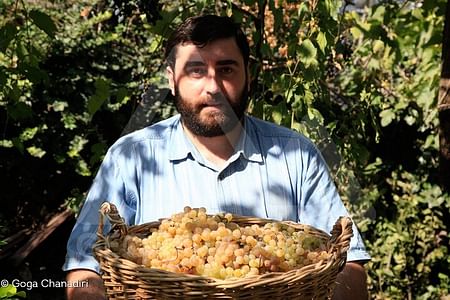 Kakheti Wine Tour – Explore the Art of Kvevri Winemaking