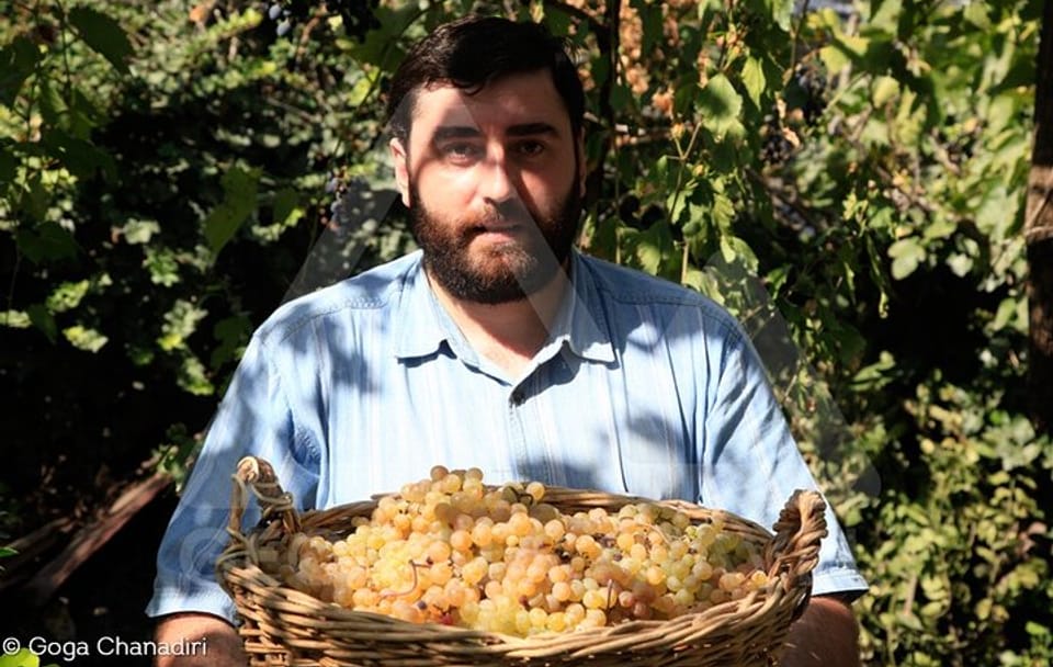 Kakheti Wine Tour – Explore the Art of Kvevri Winemaking