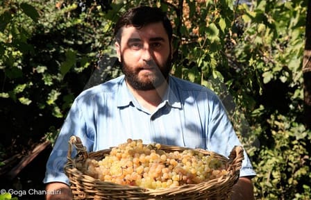 Kakheti Wine Tour: Discover Kvevri Winemaking in Alaverdi