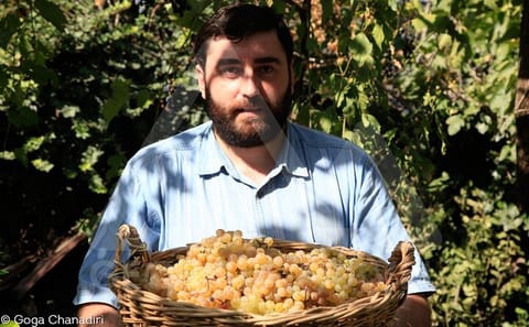 Kakheti Wine Tour: Discover Kvevri Winemaking in Alaverdi