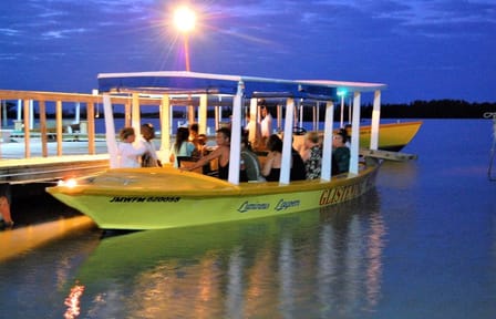 Dunn's River Falls and Luminous Lagoon Tour from Falmouth