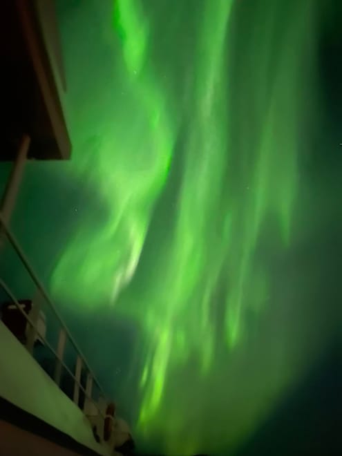 Reykjavík Northern Lights & City Cruise 9