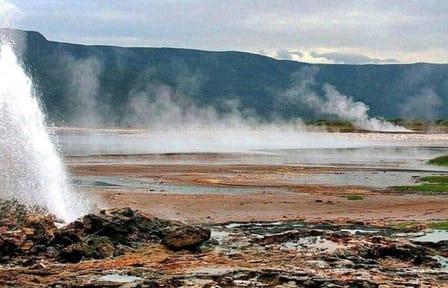2 Day Rift Valley Birding Safari Naivasha Nakuru Baringo Bogoria