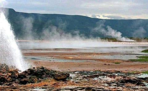 2 Day Rift Valley Birding Safari Naivasha Nakuru Baringo Bogoria