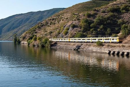 Day Trip from Porto to Régua by Bus and Return by Boat