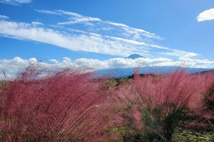 2 Days Tour Mount Fuji and Hakone