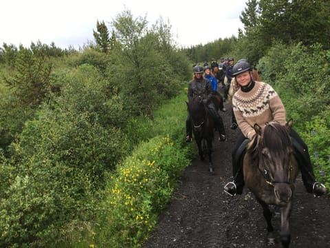 Golden Circle Horseback Riding Tour, photo 4