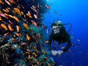 Phuket: Racha Island and Coral Islands + Scuba Beach Dive 10