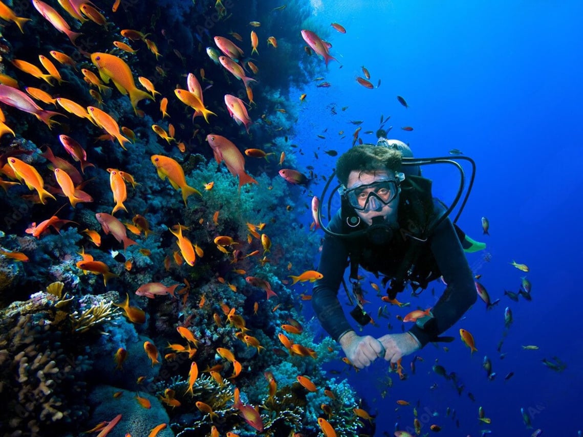 Phuket: Racha Island and Coral Islands + Scuba Beach Dive 10