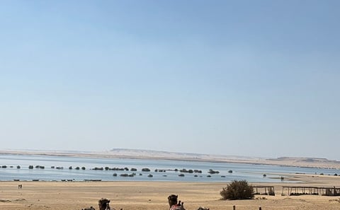 Al Fayoum Full-Day Tour from Cairo with Wadi Hitan