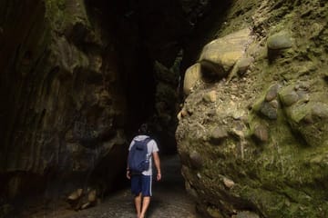 Full-Day Guided Cultural Tour of Dehradun and Malsi
