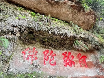 Leshan Giant Buddha Day Tour from Chengdu