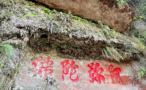 Leshan Giant Buddha Day Tour from Chengdu