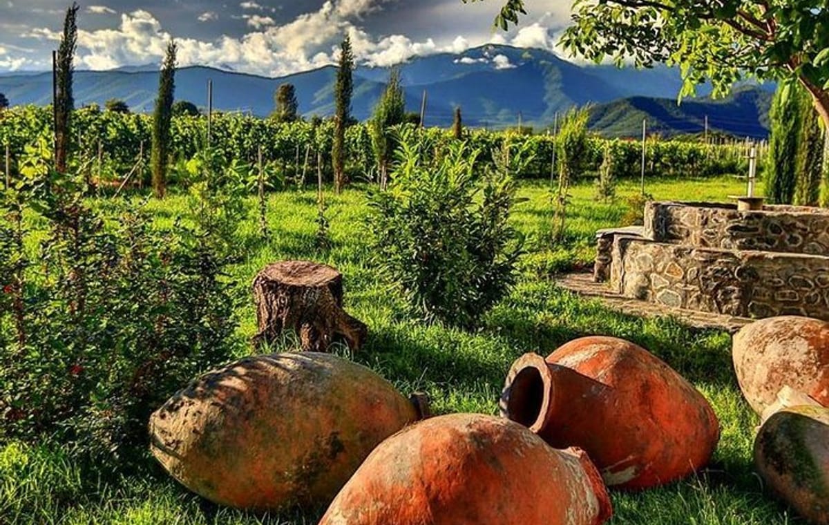 Kakheti-Wine Region Full-Day Superior Private Guided Tour & Organic Wine Tasting
