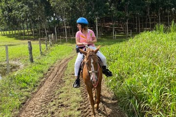 Horseback Riding Adventure in Placencia, Belize