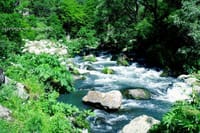 Dashbashi Canyon