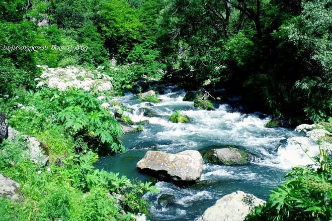 Dashbashi Canyon