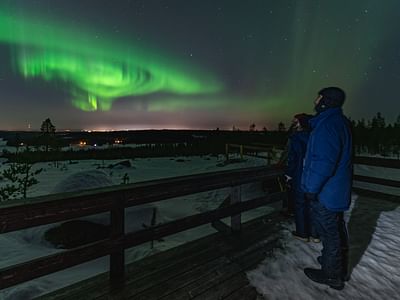 In Search of the Northern Lights – Reindeer Sleigh Ride Under the Arctic Sky