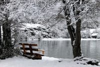 Roca Lake in winter