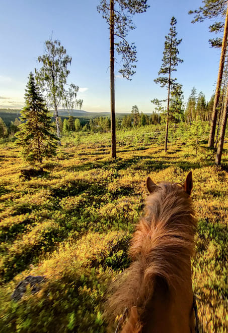 Horse ride to the hill