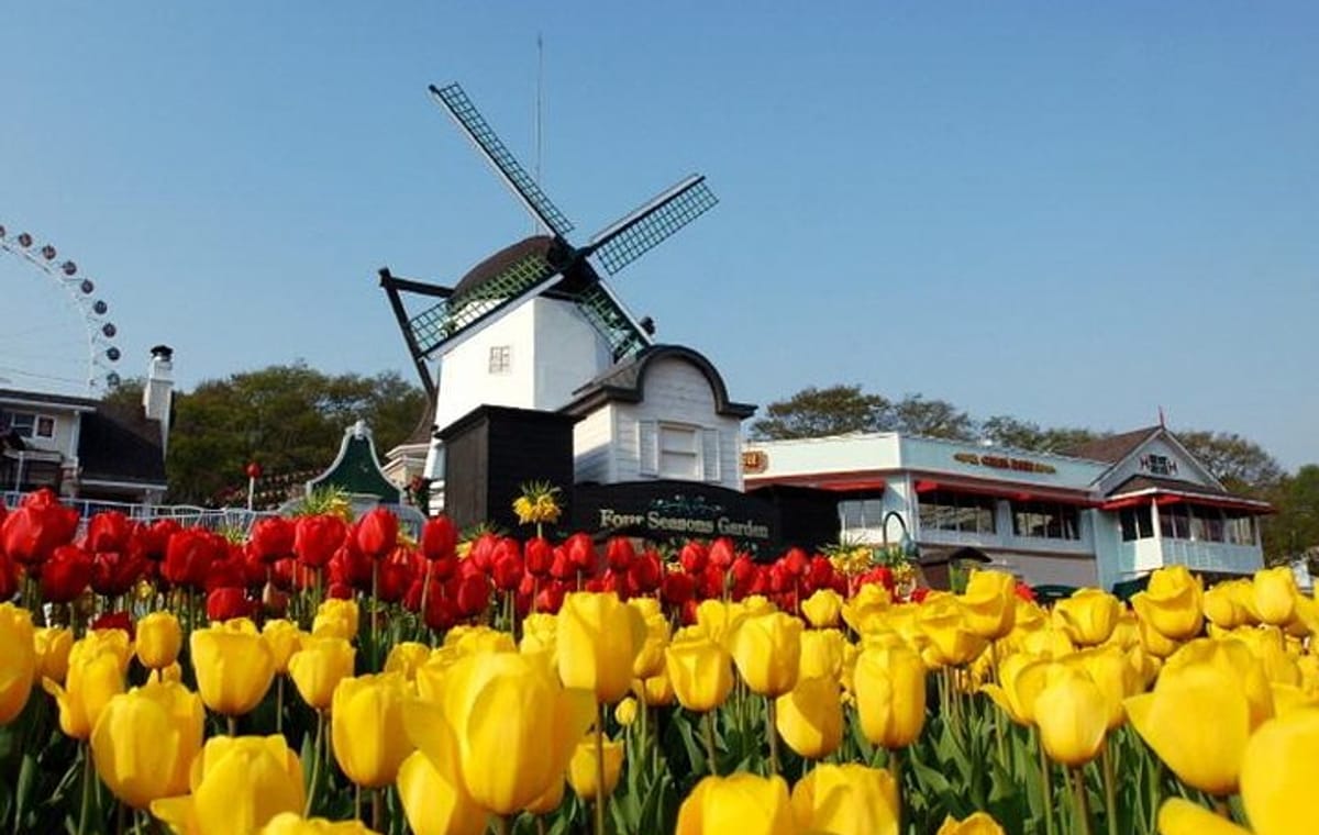 Private 4 days Nami Island&Petite France&Seoul&Everland tour