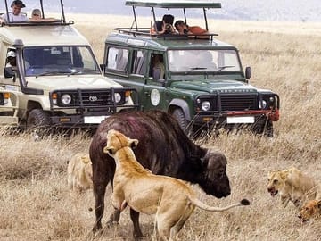 Serengeti National park