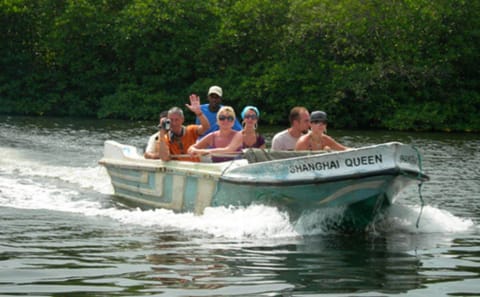 Madu River Boat Safari Tour in Colombo, Sri Lanka