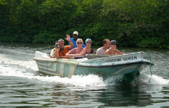 Madu River Boat Safari