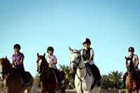 Fethiye Horse Riding - Professional Instructor & Friendly Horses 9