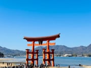 Hiroshima Station to Miyajima and Peace Park Group Tour 1