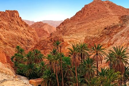 Discover the Wonders of Southern Tunisia: Desert Adventures & Culture