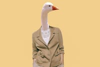Live Goose Board City Game with Live Guide in Antwerp 2