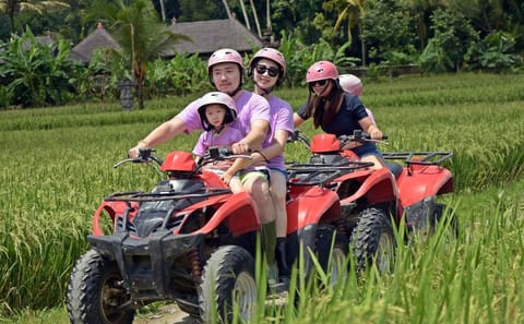 16-Day Bali and Java Cultural Adventure Tour