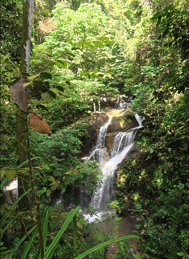 Multi-tiered Sungai Pisang Waterfall surrounded by dense tropical rainforest near Gombak, Selangor.