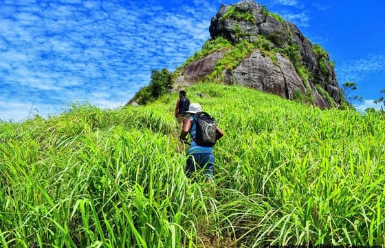 Backpacker Deal – 3N/4D