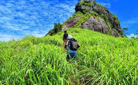Adventure Tour in Colombo: 3 Nights of Nature and Culture