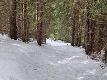 Mt. Vitosha and Boyana Waterfall Hiking Tour from Sofia