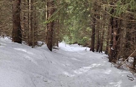 Hiking Tour to Boyana Waterfall and Mt. Vitosha from Sofia