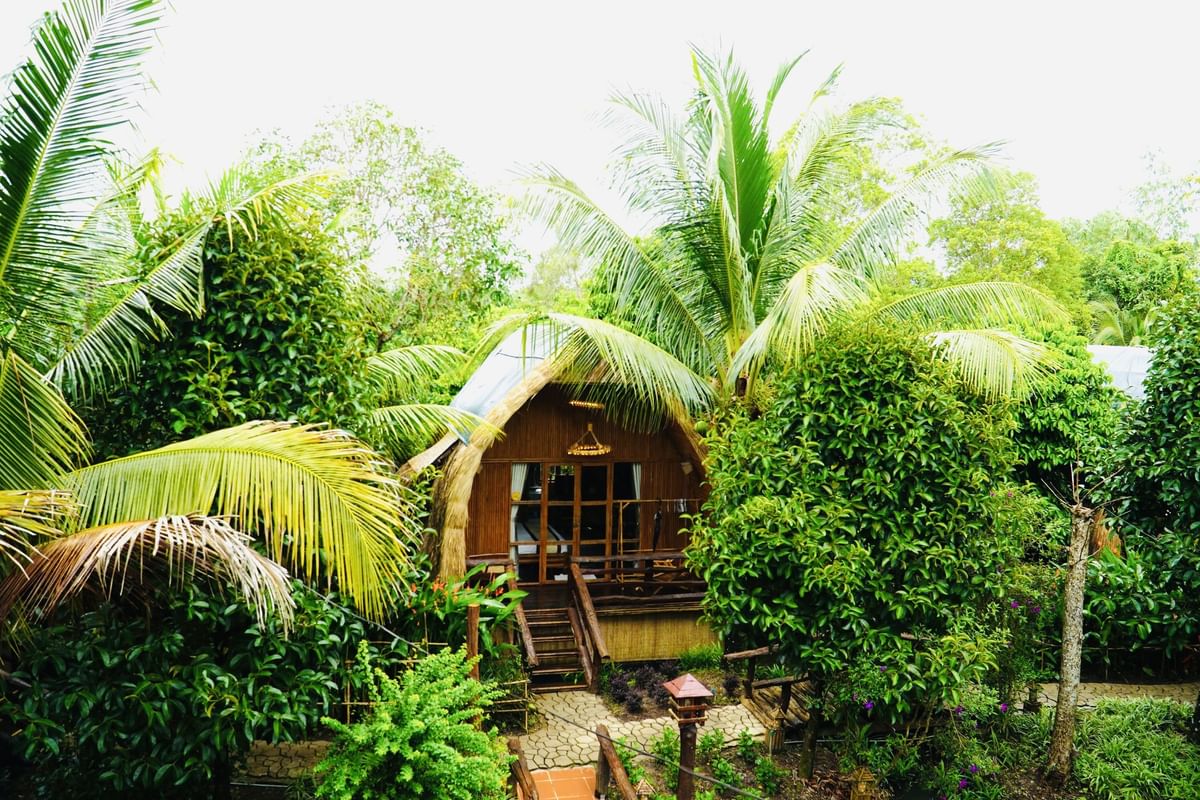 Mekong Romantic Experiences: Nature Reserve Exploration & Floating Market Adventure