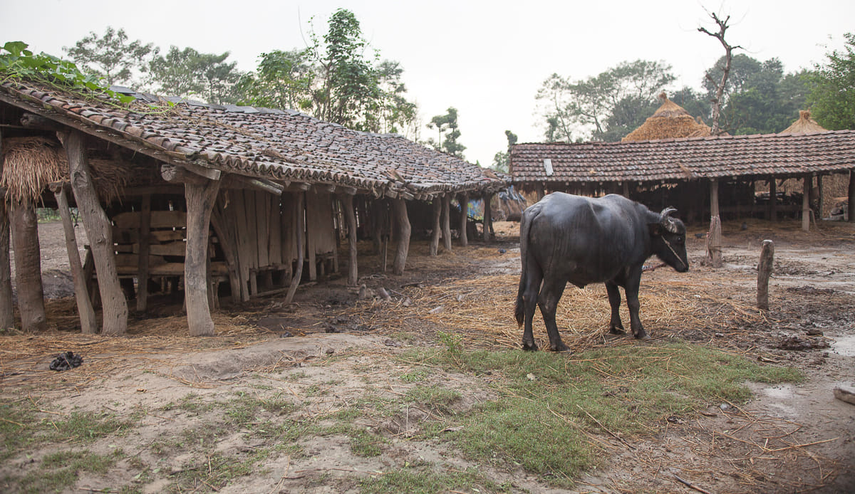 19 Days Mera Peak Climbing & Expedition – One Life-Changing Himalayan Adventure