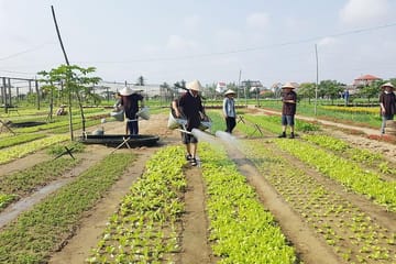 Adventures from Hanoi to Hoi An 7 days 6 nights