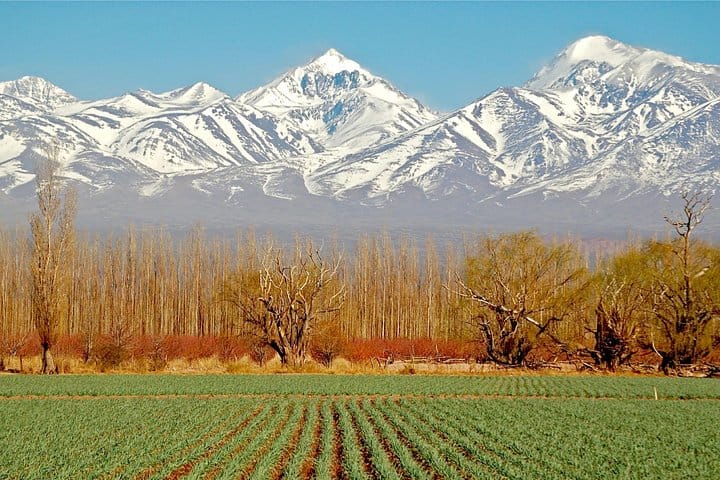 4-Days Trip to Mendoza and The Andes 4