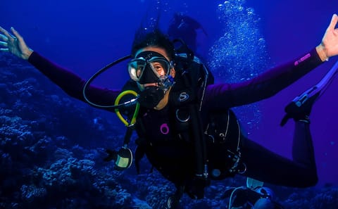 Red Sea Scuba Diving Tour in Hurghada, Egypt