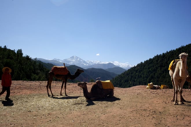 Ourika Valley Full-Day Trip 2