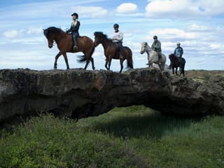 1 hour Riding tour Lake Myvatn area, photo 10