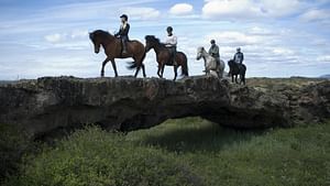 1 hour Riding tour Lake Myvatn area