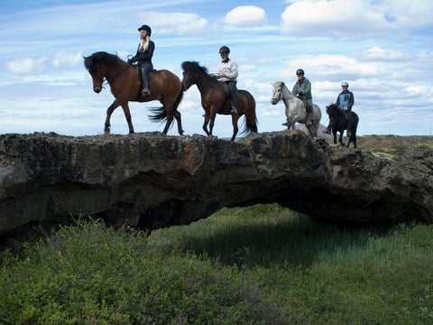 2 hour Riding tour Lake Myvatn area