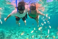 Cabo Catamaran Cruise – Arch, Snorkeling, Open Bar & Snacks 6