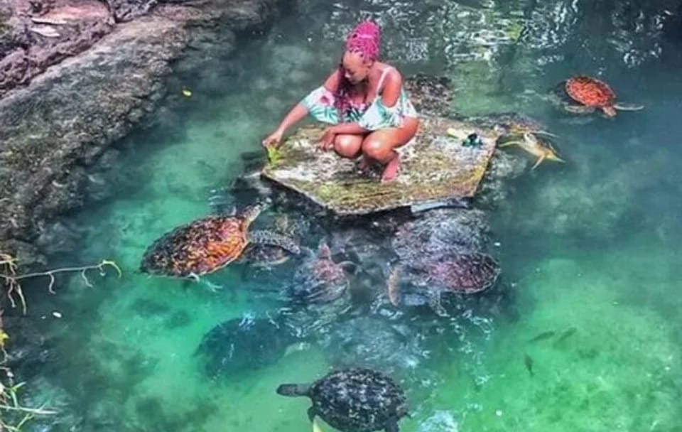 Zanzibar Salaam Cave Swimming and Feeding Sea Turtle in Kizimkazi