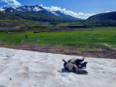 Landmannalaugar & Hekla Volcano Private Adventure, photo 5
